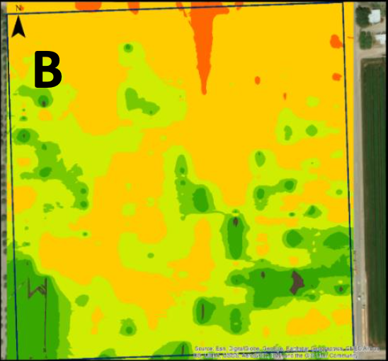 figure b